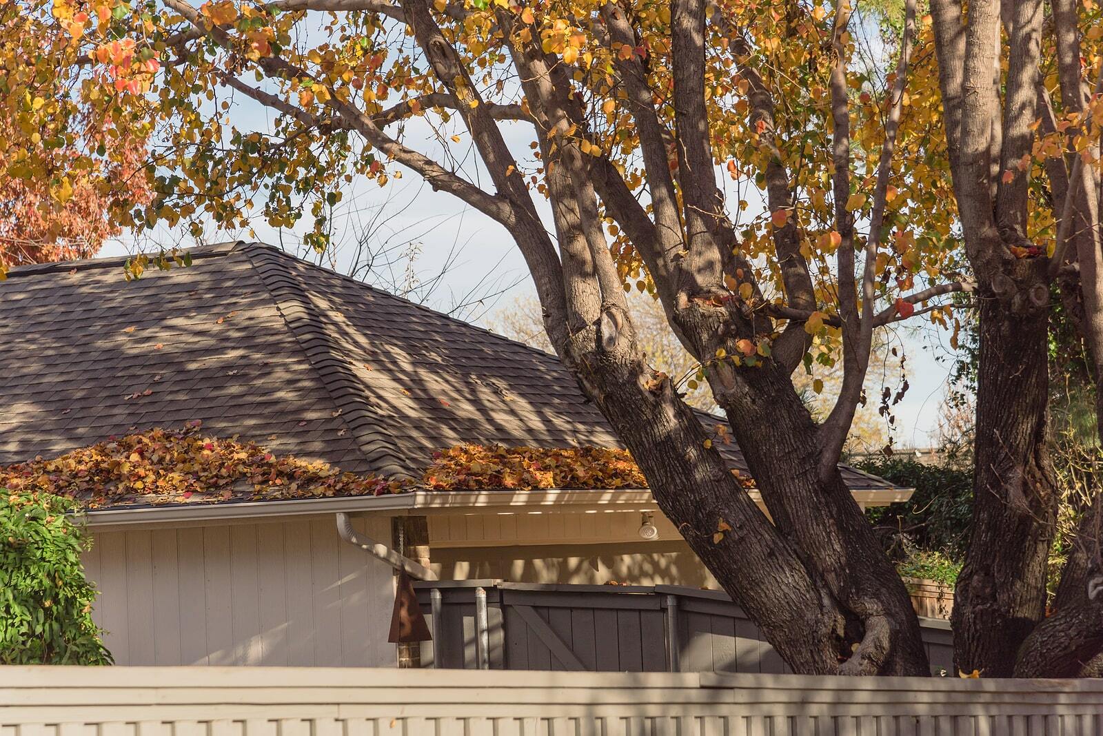 Five Overlooked Roof Elements That Can Lead to Problems