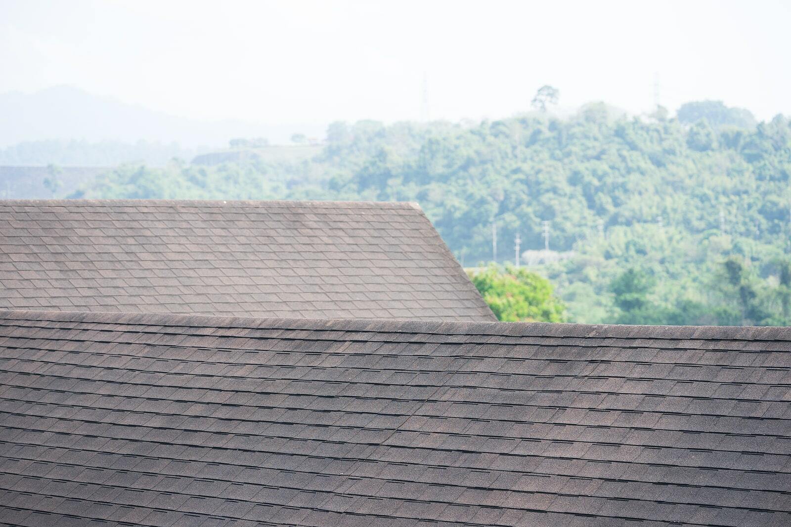 Why Are My Asphalt Roof Shingles Discolored