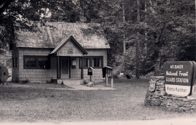 Lodge Style Homes