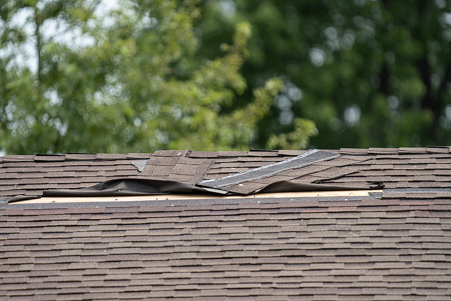 Roof Problems