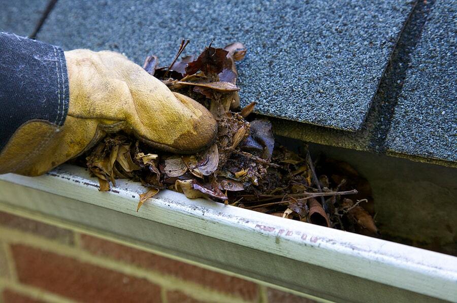 Gutter Clogging