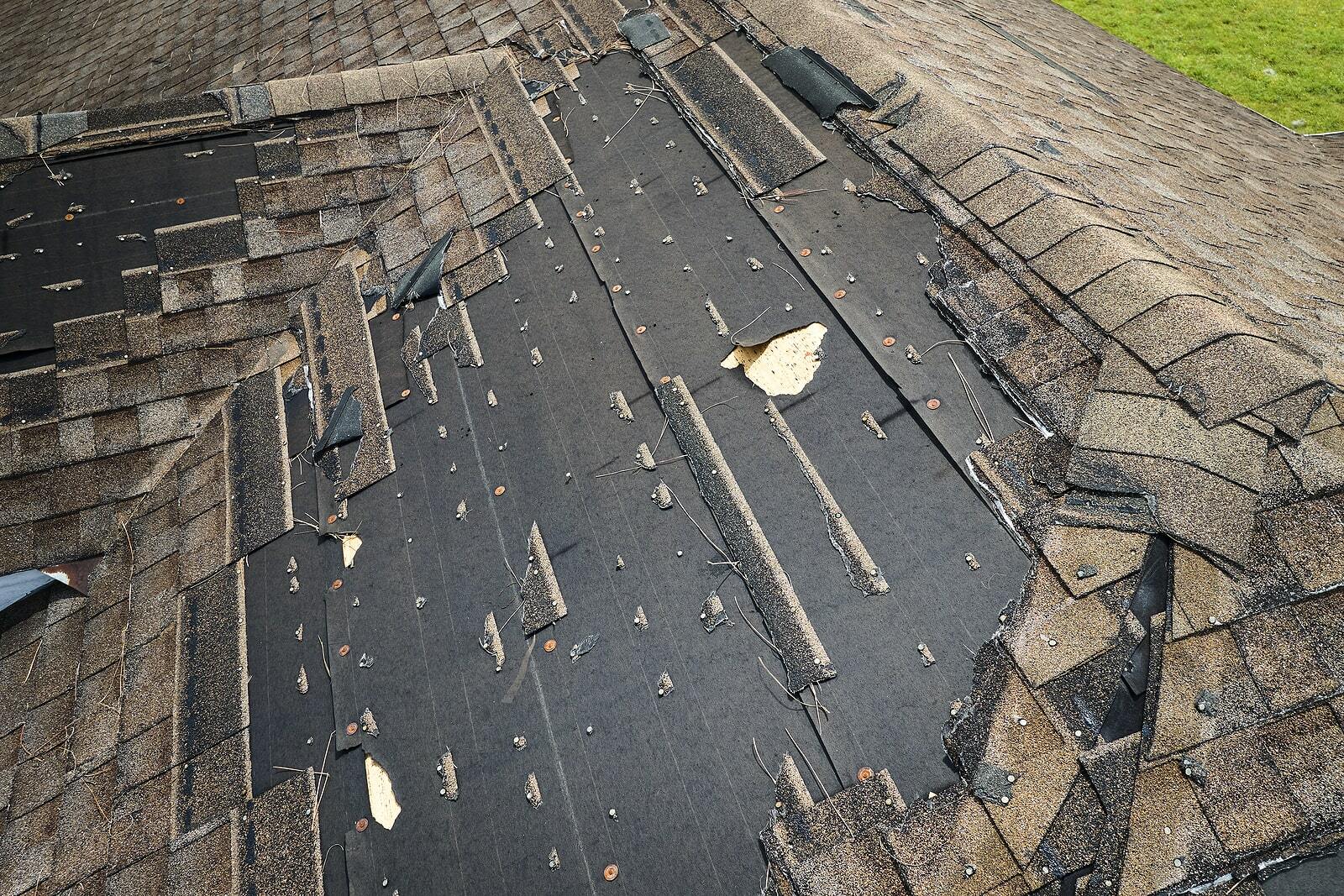 ashpalt shingle wind damage