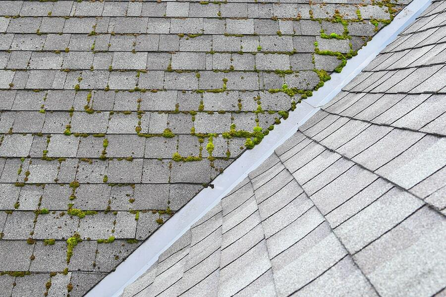 Mossy, Moldy Roof Tiles