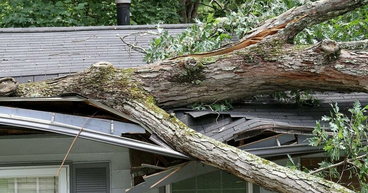 Uninsured Roofing