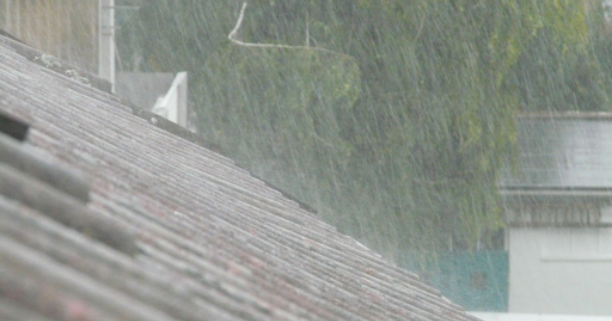 Rain Damage