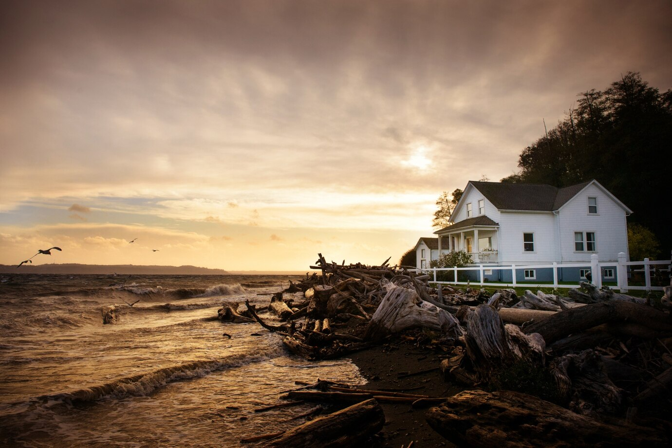 Beach House